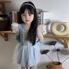 2025 Summer Korean Style Blue Princess One-Piece Swimsuit for Baby and Girls