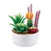 MINI BRANDS Botanical Garden Series 1 Capsule, 2-Pack, in PVC Tube