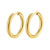 Stainless Steel Hoop and Stud Earrings: Thick, Thin, and Coil Styles