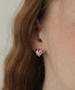 Tatiana (Silver 925) Flower Cubic Full Heart Earrings Ec3068