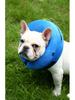 Elizabethan Inflatable Pet Collar: Anti-Bite, Anti-Lick Grooming Protection for Dogs & Cats