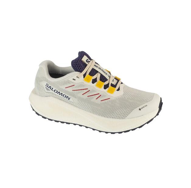 

Беговые кроссовки Salomon Aero Blaze 3 Grvl GTX W EU 42