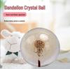 Dandelion Crystal Ball Resin Ornament - Birthday or Christmas Gift for Girls