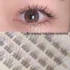 120-Tuft Natural Segmented Single Tuft Fishtail False Eyelashes, Glue-Free and Stemless