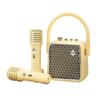 Dianyin Karaoke Bluetooth Speaker with Dual Microphones