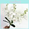 Artificial Phalaenopsis Bloom Collection For Living Room And Decoration Party
