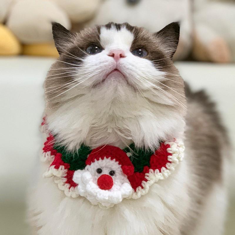 Christmas Cat Scarf: Warm Knitted Collar with Bell