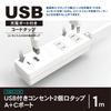 Topland STPAC10-WT Extension Cord with USB Power Strip, 1m/2m, USB Type A+C Ports, Antibacterial, 2-Outlet Tap