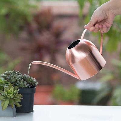 500ML Stainless Steel Long Mouth Watering Can Kettle for House Plant Indoor Outdoor
