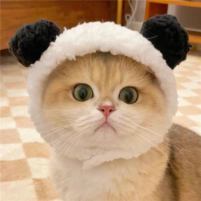 Pet Hat Cute Plush Animal Headwear Various Adorable Soft Photo Prop Cosplay Headgear For Small Cats Puppy Pet Party Decoration