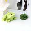 3D Panda Frog Candle Mold Handmade Cute Animal Soap Aromatherapy Mold Lively Squirrel Gypsum Resin Pendant Desktop Decoration