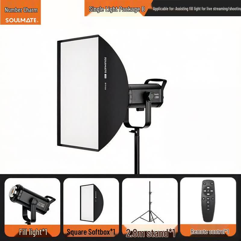 SOULMATE E300Bi Max DMX 300W Bi-Color COB LED Photography Fill Light with Softbox Kit