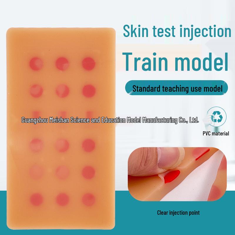 

Модель руки для внутрикожных инъекций для тренировки пункции вены и подкожной пробы.