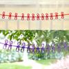 Portable Elastic Windproof Drying Clothes Hanger Clothes Line with 12 Clips