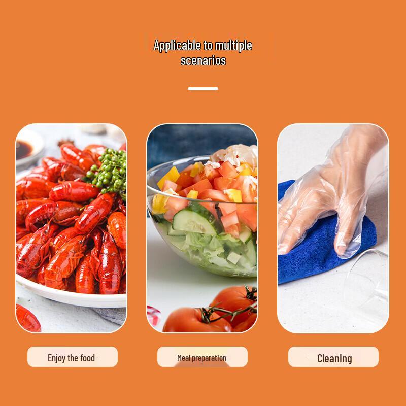 Deli Disposable PE Gloves