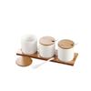 Qianxing Ceramic Seasoning Jar Set