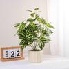Artificial Green Plants: Small Potted Bonsai for Coffee Table or Living Room Decor