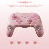 BIGBIG WON CHOCO Switch Bluetooth Rapid Fire HD NFC Back Programmable 1000mAh High Gyro Compatible with Switch and Includes Japanese Instruction
