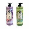 Shower Mate Perfume Body Cleanser Body Wash 1L (WCB8081)