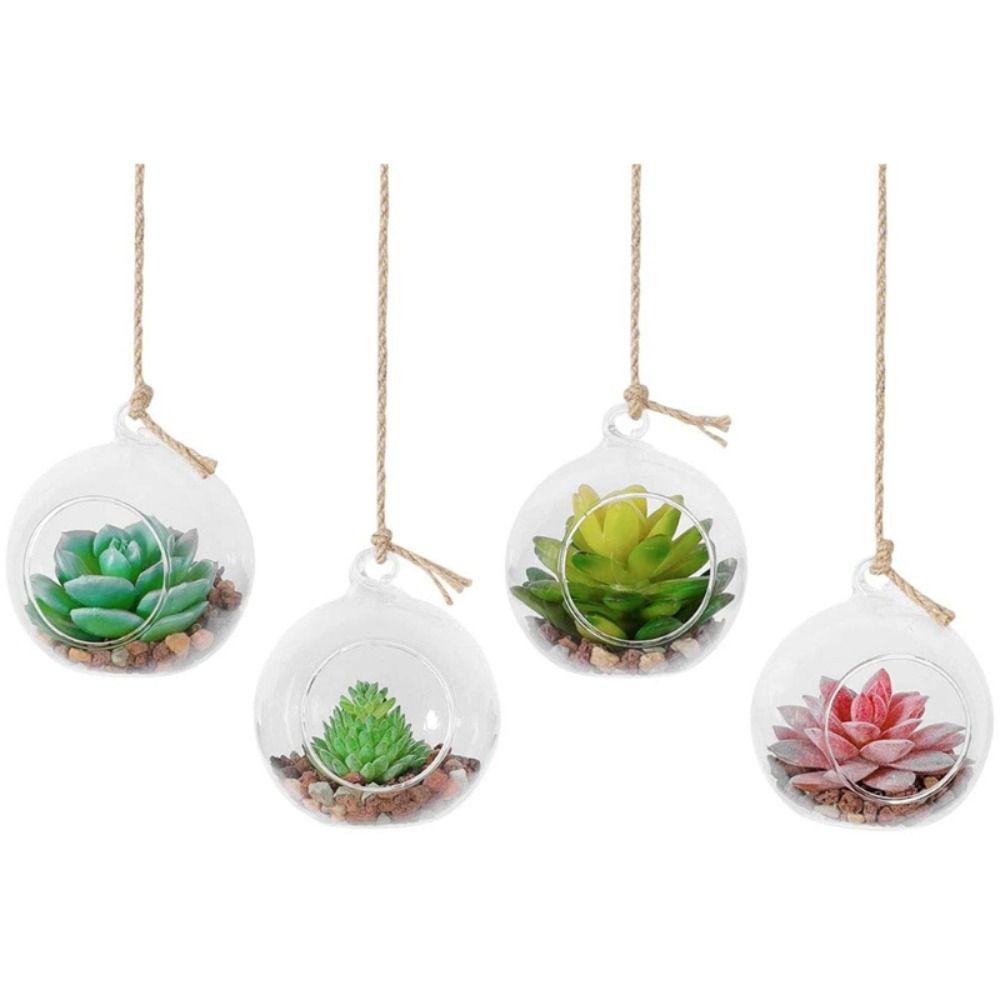 Transparent Hanging Glass Vases Ball Succulents Plant Ball Container Glass Planter  Garden