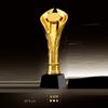 Customized Gold-plating Resin Trophy Award Souvenir, Excellent Character, Home Decoration, Creative, Crystal Base, Engraving 1Pc