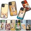 Handyhülle Hund Niedlich Corgi Hülle für Apple iPhone 17 16 11 Pro XS Max XR 6 7 8 Plus + 16E SE 2020 Air 5 8+ Hülle
