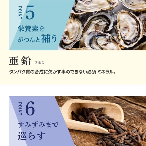 Aderans Volume Escort Supplement, Made In Japan, with Zinc, HGP, Saw Palmetto, Millet Seed, Keratin, and Pepper, for Hairline and Hair Volume, Concent