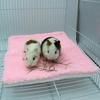 Thickened Flannel Cotton Pet Mat for Cats, Dogs, Rabbits, Hamsters, and Guinea Pigs