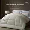 Kang Er Xin Soft Fluffy Soybean Fiber Double Quilt