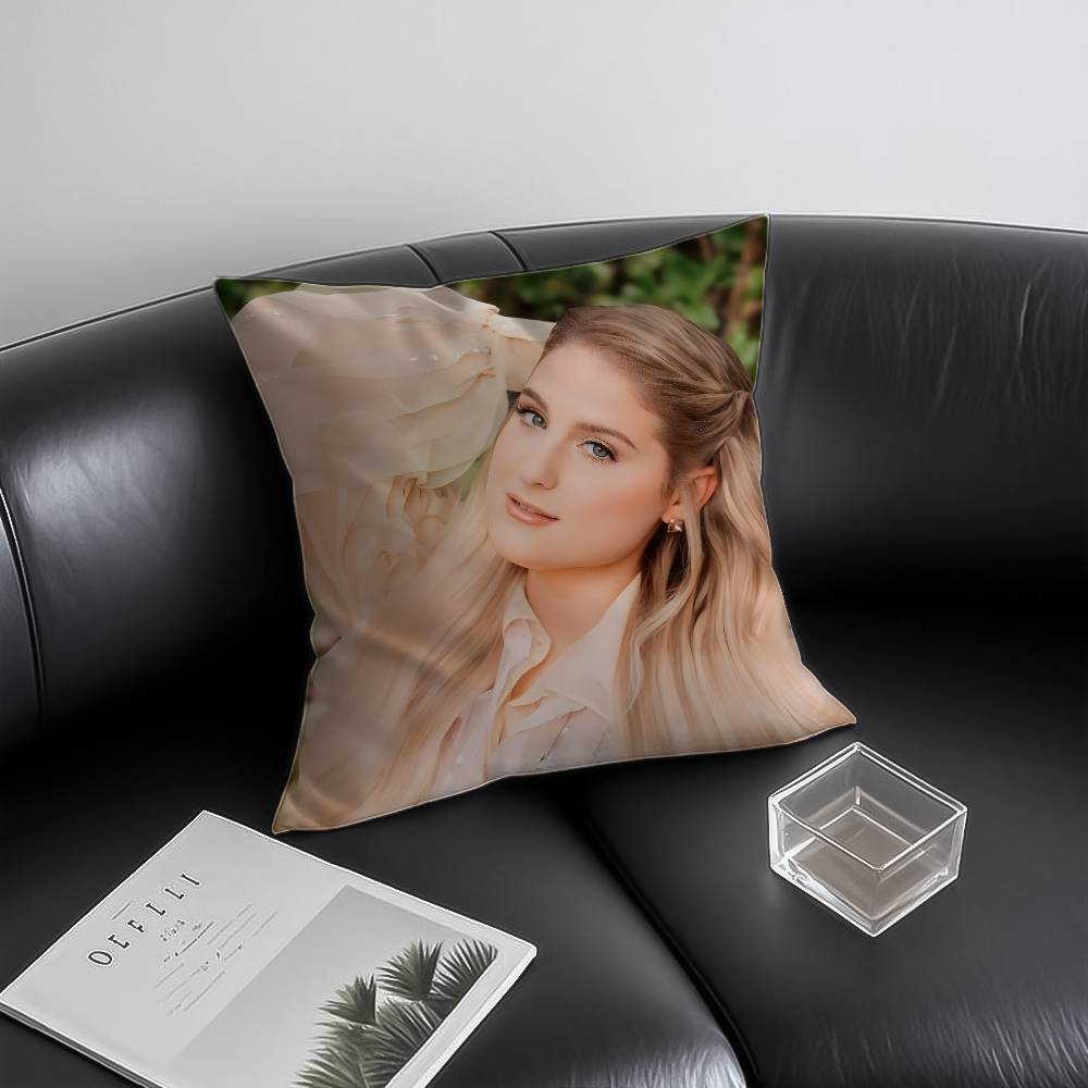 M-Меган Т-ТрейнорС Наволочка Противоклещевая Невидимая молния Диван-кровать 12x12Inch