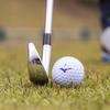 MIZUNO Golf Ball RB 566 NEXDRIVE Distance Type Compatible All Head Speeds Soft Feeling 2-Piece Structure 5NJBT324