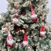 Christmas Decorations:  Christmas Hats, Christmas Lollipop Caps, Christmas Hat Knife And Fork Covers, Wine Bottle Caps, Decorative Items