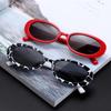 Vintage Cat Eye Sunglasses Small Rectangle Frame UV400 Shades Polarized Vintage Glasses Outdoor Sun Protection Sun Glasses