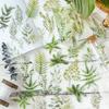 PET Nature Plant Stickers Pack - 30pcs Botanical Scrapbooking Decals for Journal Decor & Crafting (Waterproof)