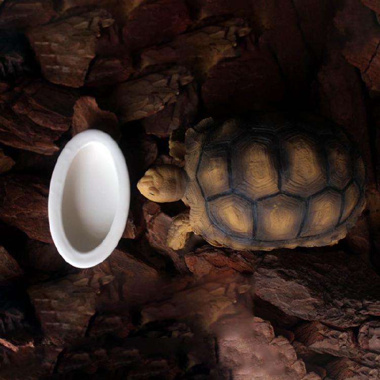 Terrarium Bowls Reptile Food Bowl Ceramics Water Bowl Food Bowl for Lizards