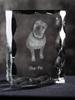 Shar Pei - Crystal with a Picture of a Dog, Glass Statuette with a Picture, Unique Frame with a Picture from Art-Dog Brand