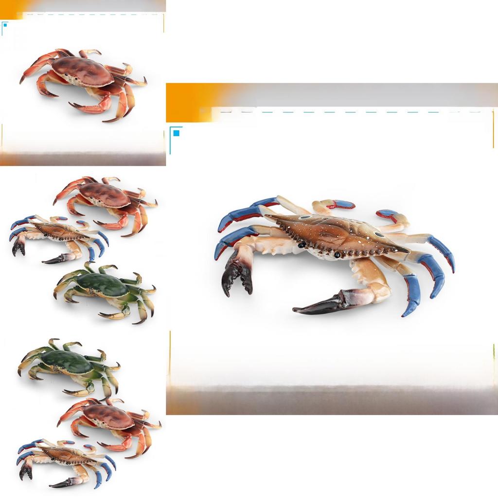 Marine Life Crab Replica For Kids Learning Aquarium Decoration Pvc Collectible
