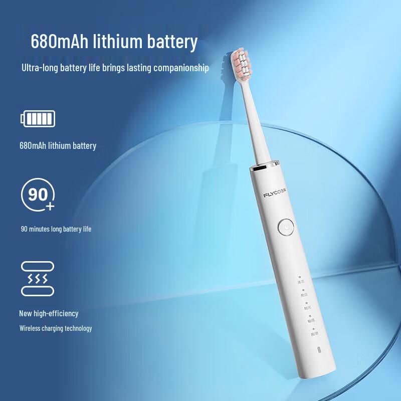 FLYCO Rechargeable Sonic Electric Toothbrush CN Plug (adapter Included)
