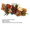 Dried Wood Fruit Refrigerator Magnet Handmade Rustic Natural Plants Pine Cone Decorative Fridge Magnet Photo Holder Home Office Decor