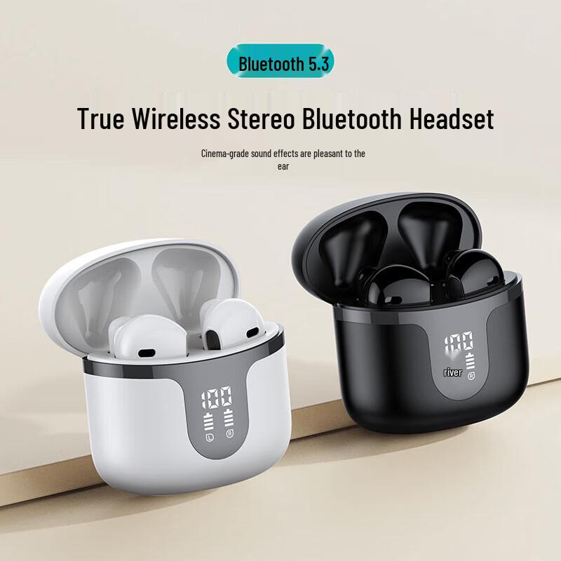 Weisheng WS47 True Wireless Stereo Earbuds