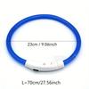 USB-wiederaufladbarer Glasfaser-Halsband Haustier Hund LED-Licht-Halsband Leuchtendes Anti-Verlust Hundehalsband USB-wiederaufladbares Hundehalsband Halsband