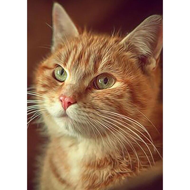 Zestaw do malowania diamentami 5D DIY Kwiaty i koty Diamentowe hafty Dżetów Ozdoby do domu