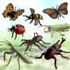 Sefod Realistic Insect Model Figure Animal Animal Model Birthday Christmas 8-Piece Toy, Toy, Doll, Decoration, Gift,