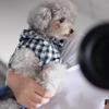 Warm Dog Winter Jacket Small Breeds Teddy Style Four-Legged Denim Harness Coat Fall