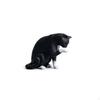 1 64 Resin Cat Model Small Animal Figurine Shelf Accent for Interior