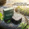 Rustic Art Neem Tulsi Shampoo Bar | Deep Cleansing, Dandruff & Oil Control | Oily Scalp & Hair | Activated Charcoal & Eucalyptus | Organic & Natur