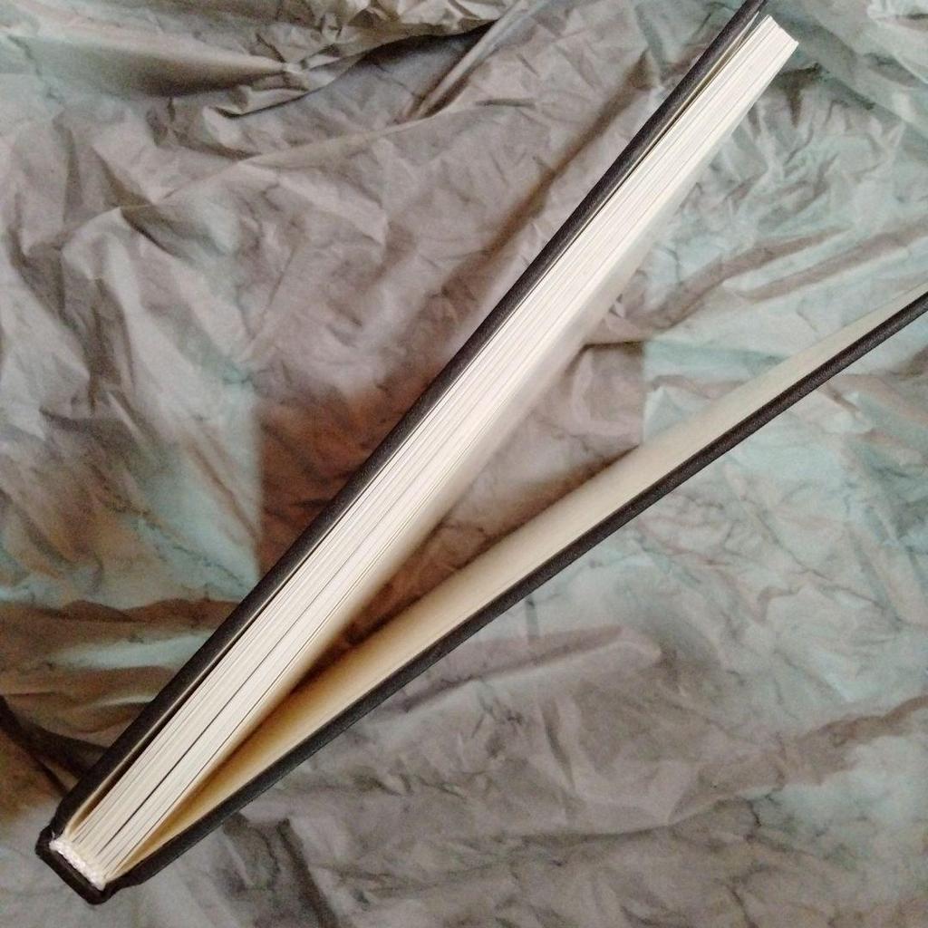 [USED] Robert Doisneau Photo Collection by Jacques Prevert