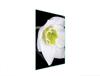 GLAS-SCHNEIDEBRETT 35x52 ORCHIDEE