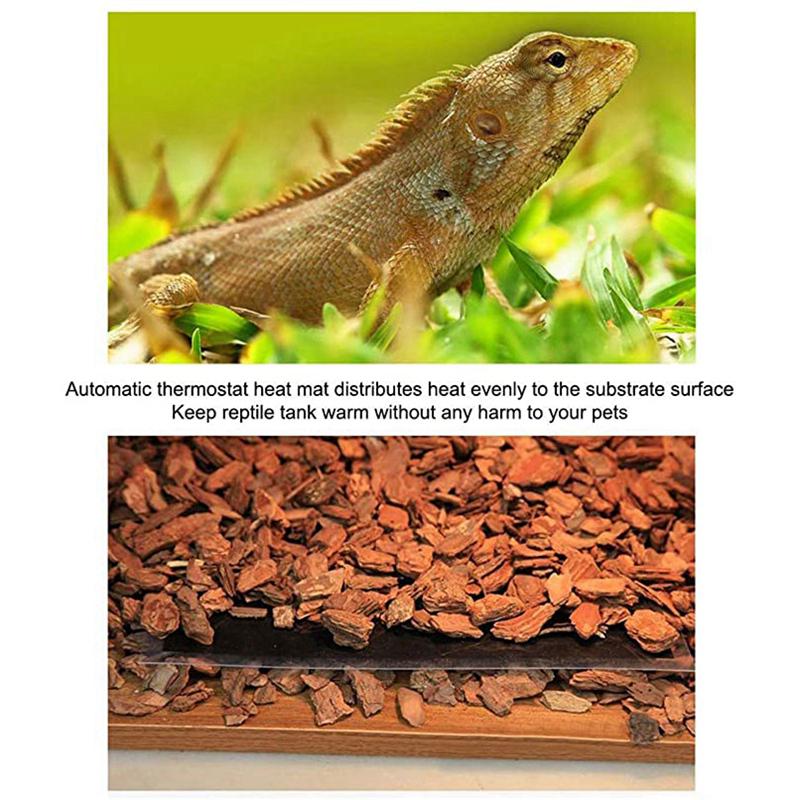 heating pad for lizard tank