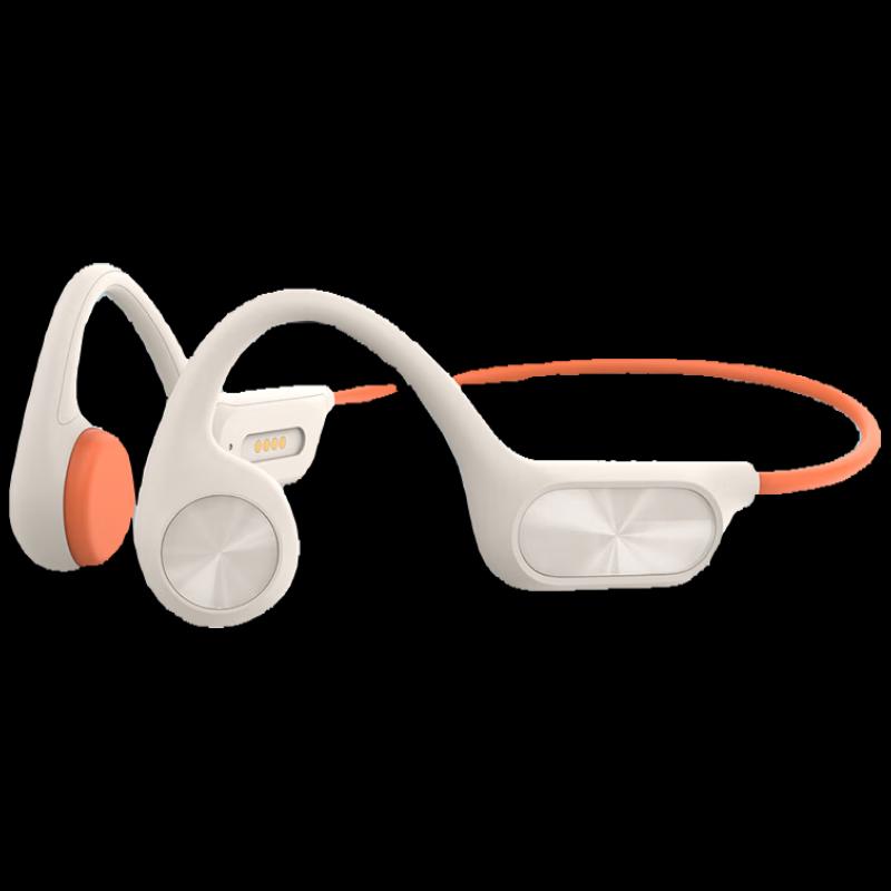 

Sayrelances B30X Bone Conduction Swimming & Sports Headphones 1
